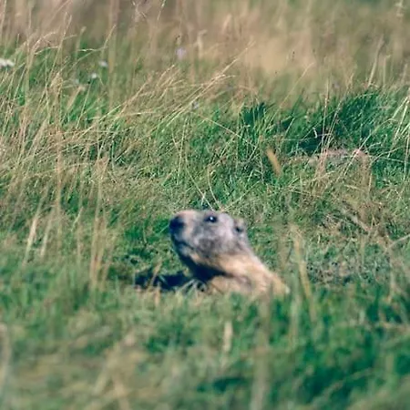 Lary Soulan Village T2 Avec Parking アパート サン・ラリー・スラン