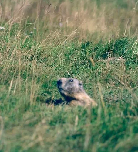 Lary Soulan Village T2 Avec Parking شقة سانت لاري سولون